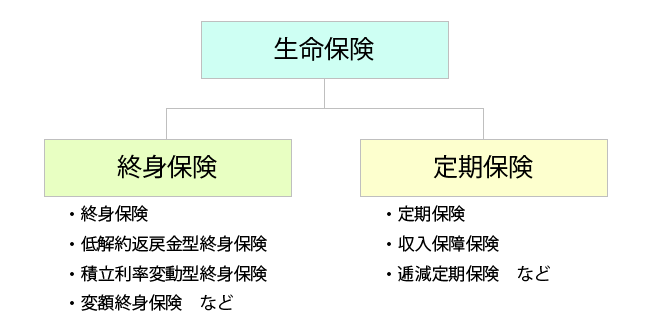 生命保険の分類